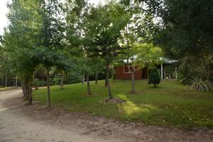 un grupo de árboles frente a una casa en Casa de Campo en Oceanía, en Rincón de los Oliveras
