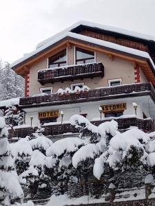 a building covered in snow with trees in front at Hotel Astoria in Courmayeur