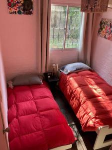 2 Betten in einem Zimmer mit Fenster in der Unterkunft Casa en bella vista, Clarita in Bella Vista