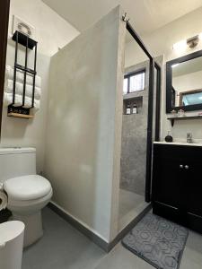 een badkamer met een douche, een toilet en een wastafel bij Departamento Roma 1 CDMX in Mexico-Stad +30 foto's