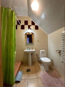 W łazience znajduje się umywalka, toaleta i prysznic. w obiekcie Бавор w Jaremczach