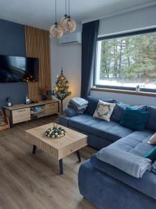 a living room with a blue couch and a christmas tree at Lawendowa Stodoła in AdamÃ³w