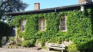 una casa ricoperta di edera con una panchina di fronte di La Ferriere a Saint-Médard-en-Forez