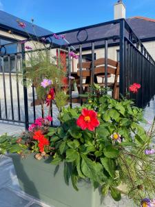 Zahrada ubytování The Gate Lodge at Dunnanew - 4 Star- Sleeps 5