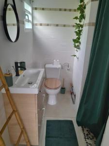 Un baño con inodoro, lavabo y espejo. en les lau, en Sainte-Anne