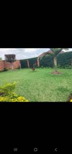 a picture of a yard with two trees in it at KingdomHomes. in Kigali