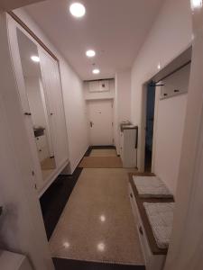 pasillo de un baño con puerta y lavabo en Andy Apartmán Jáchymov, en Jáchymov