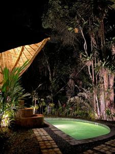 uma pequena piscina verde num jardim à noite em Bamboo House - Ecobreeze em Sidemen