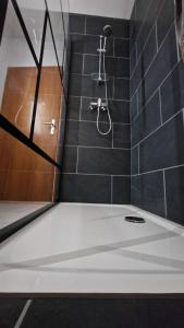 a shower with a glass door in a bathroom at Doppelzimmer in FEWO Burgau Nähe Legoland in Burgau