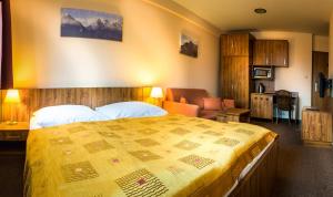 a hotel room with a large bed and a chair at Vila Borievka in Vysoke Tatry - Tatranska Lomnica.