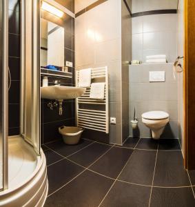 a bathroom with a toilet and a sink at Vila Borievka in Vysoke Tatry - Tatranska Lomnica.