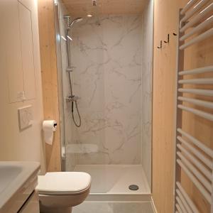 a bathroom with a shower and a toilet at Dunehuys in Koksijde