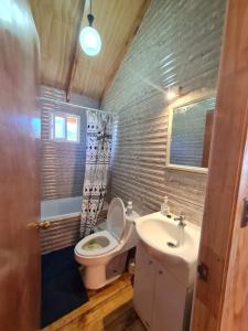 uma casa de banho com um WC e um lavatório em Cabañas Villa Elfo em Futrono
