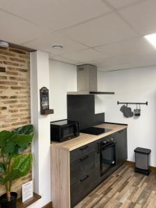 Virtuvė arba virtuvėlė apgyvendinimo įstaigoje Les Pichies, T2 Maxou, centre ville.