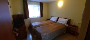 ボイネアサにあるPensiunea Aurora -Hostel Voineasaのベッドルーム(ベッド1台、窓、テレビ付)