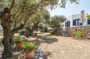 a house with trees and flowers in a yard at Elaida Apartments in Apollonia