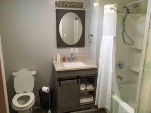 a bathroom with a sink and a toilet and a mirror at Caddy Corner has a hot tub just outside of town in French Lick