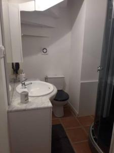 a white bathroom with a sink and a toilet at Ancien Bar Lémon Café in Sainte Anne d'Auray 