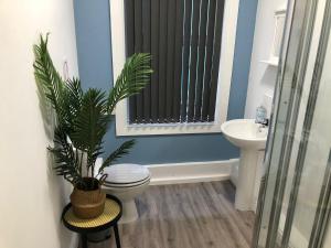 a bathroom with a toilet and a sink at Bank Street Apartment 7 in Blackpool