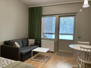 Χώρος καθιστικού στο Hyvin varusteltu yksiö 27 m² , Vierumäki Chalets 6