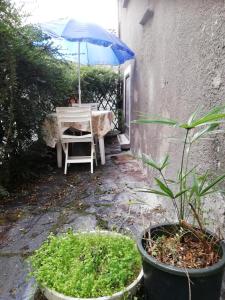 einen Tisch mit einem Sonnenschirm in einem Garten mit einem Stuhl in der Unterkunft VAL GRANDE APARTMENT in Miazzina