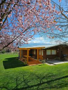 a house with a picnic table and a tree at La Yaya - Villa Turismo in El Bolsón +84 photos