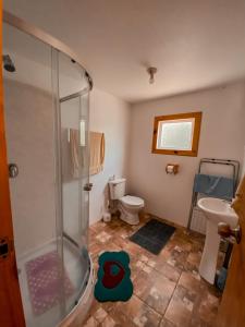 Chacao Viejo的住宿－Cabañas Los Queltehues，带淋浴和卫生间的浴室