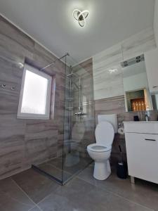 y baño con aseo y ducha acristalada. en Home in Residential Neighborhood en Arad