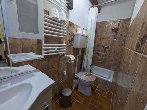 ein Bad mit einem WC und einem Waschbecken in der Unterkunft Keltenpfad-Taunus Naturnah 