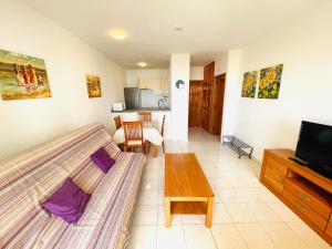 a living room with a couch and a television at Tenerifeopenhome Club Paraiso in Adeje