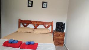 a bedroom with a bed with two pillows and a tv at Altos Mendoza Calle Entre Ríos in Mendoza