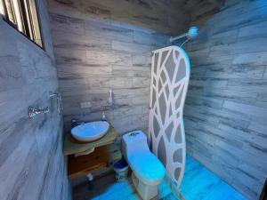 une salle de bain avec des toilettes bleues et un lavabo dans l'établissement Parque Nacional Volcán Poás Cabaña Abby, à Bajos Tigre 26 autres photos