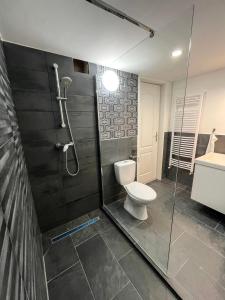 een badkamer met een toilet, een douche en een wastafel bij Nefelejcs apartman (Netflix) in Boedapest
