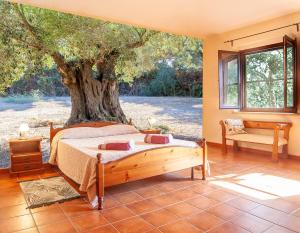 a bedroom with a bed in front of a tree at Sa Tanchitta in Ulà Tirso