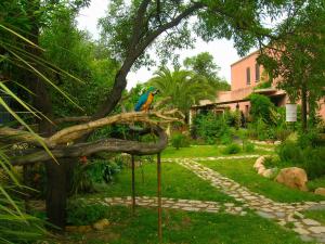 A garden outside La Fattoria Delle Tartarughe