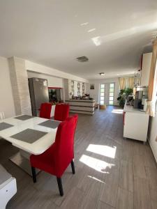 a kitchen and living room with a table and red chairs at Casa Nicolae in Silvaşu de Sus