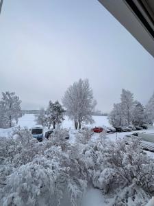 un patio cubierto de nieve con coches aparcados en un aparcamiento en Cozy and modern apartment with lakeside view, en Rovaniemi