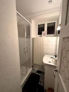 a small bathroom with a shower and a sink at Appartement rénové entre Saint-Malo et le Mont-Saint-Michel in Dol-de-Bretagne