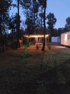 un patio trasero con una pérgola iluminada por la noche en FOGON Y MATES, en Maldonado