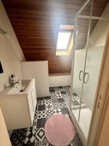 a small bathroom with a shower and a sink at Charmant appartement entre Saint-Malo et le Mont-Saint-Michel in Dol-de-Bretagne