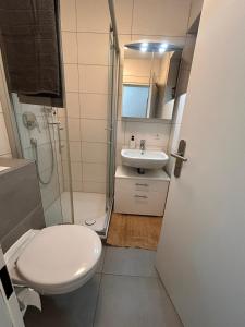 a bathroom with a toilet and a sink and a shower at Wikinger Apartment Felicia in Ostfildern