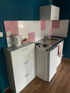 eine kleine Küche mit Herd und Spüle in der Unterkunft The Pink Blue in Lüttich