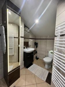 a bathroom with a sink and a toilet at Apartamenty u Grażyny in Kluszkowce