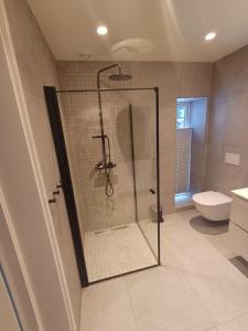 a bathroom with a shower and a toilet at K8 Apartment in Kongsberg