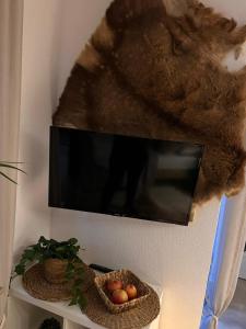 un televisor colgado en una pared con un animal de peluche. en Wikinger Apartment Felicia en Ostfildern