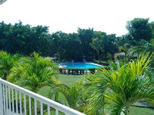 Blick auf einen Pool mit Palmen in der Unterkunft Hotel parador tropical in Cartagena de Indias