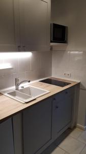 a kitchen with a sink and a microwave at Ferienwohnung Stein in Stein