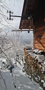 Caputówka 100 letnia chata žiemą