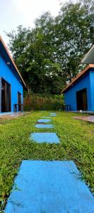 a row of stepping stones in the grass near a blue building at POSADA MIRADIA in Matapalo