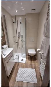 La salle de bains est pourvue d'une douche, de toilettes et d'un lavabo. dans l'établissement Ansitz Strengherrnhof, à Caldaro